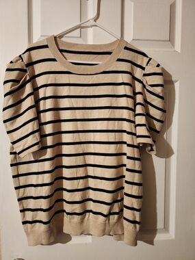 Beige & Black Striped Knit Sweater | Women's Plus Size 4XL | Short Sleeve Crewne